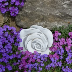 Gartendekoparadies Belle-Prix spécial : deux roses décoratives