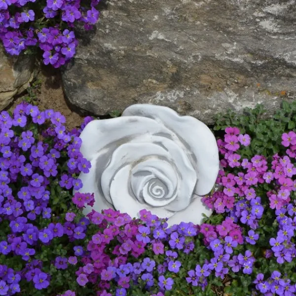 Gartendekoparadies Belle-Prix spécial : deux roses décoratives