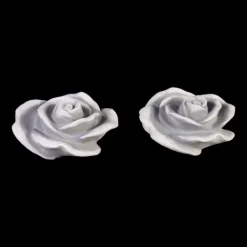 Gartendekoparadies Belle-Prix spécial : deux roses décoratives