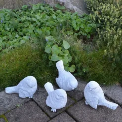 Gartendekoparadies Animaux-Prix ??spécial : lot d'oiseaux Mésange bleue