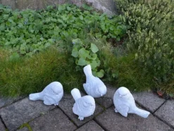 Gartendekoparadies Animaux-Prix ??spécial : lot d'oiseaux Mésange bleue
