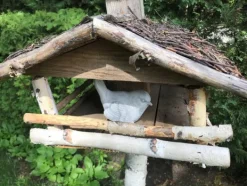 Gartendekoparadies Animaux-Prix ??spécial : lot d'oiseaux Mésange bleue