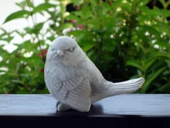 Gartendekoparadies Animaux-Prix ??spécial : lot d'oiseaux Mésange bleue