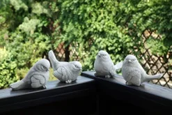 Gartendekoparadies Animaux-Prix ??spécial : lot d'oiseaux Mésange bleue