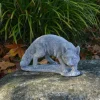 Gartendekoparadies Animaux-Renard roux sauvage