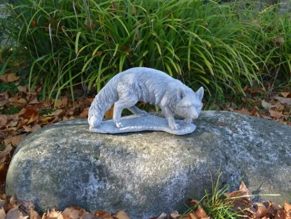 Gartendekoparadies Animaux-Renard roux sauvage