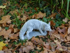 Gartendekoparadies Animaux-Renard roux sauvage