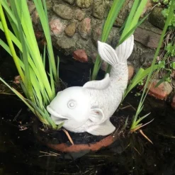 Gartendekoparadies Animaux-Saragoi : magnifiques poissons koi