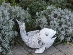 Gartendekoparadies Animaux-Saragoi : magnifiques poissons koi