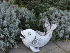 Gartendekoparadies Animaux-Saragoi : magnifiques poissons koi
