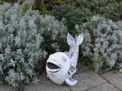 Gartendekoparadies Animaux-Saragoi : magnifiques poissons koi