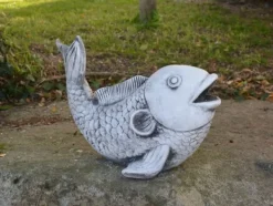 Gartendekoparadies Animaux-Saragoi : magnifiques poissons koi
