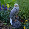 Gartendekoparadies Animaux-Statue d'aigle à patine antique