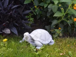 Gartendekoparadies Animaux-tortue
