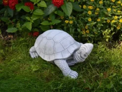 Gartendekoparadies Animaux-tortue